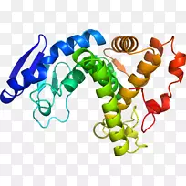 蔬菜有机体剪贴画-蔬菜-空若网 蔬菜有机体剪贴画-蔬菜-空若网