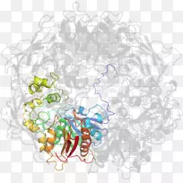 树线剪贴画-树-空若网 树线剪贴画-树-空若网