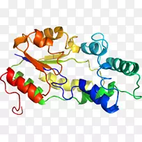 �ߵ������������-������