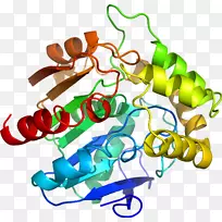 人体珠宝有机体线条剪贴画.珠宝-空若网 人体珠宝有机体线条剪贴画.珠宝-空若网