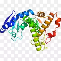 �߲��л��������-�߲�-������