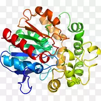 �����鱦�л�������������.�鱦-������