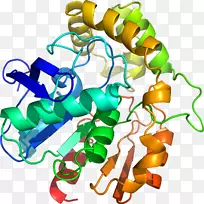 ���߼�����-��-������