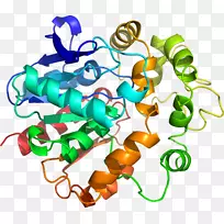 人体珠宝线有机体剪贴画线-空若网 人体珠宝线有机体剪贴画线-空若网