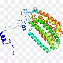 人体珠宝系列有机体珠宝首饰-空若网 人体珠宝系列有机体珠宝首饰-空若网