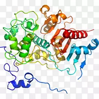 直线点生物动物剪贴画线-空若网 直线点生物动物剪贴画线-空若网