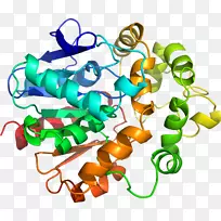 人体珠宝剪贴画.设计-空若网 人体珠宝剪贴画.设计-空若网