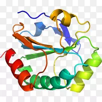 人体珠宝系列有机体剪贴画-珠宝-空若网 人体珠宝系列有机体剪贴画-珠宝-空若网
