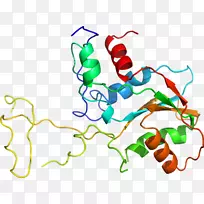 线点生物剪贴画线-空若网 线点生物剪贴画线-空若网