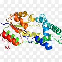 �ߵ������������-������