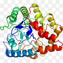 生物线动物剪贴画线-空若网 生物线动物剪贴画线-空若网