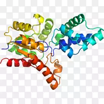 有机体珠宝生物分子剪贴画珠宝首饰-空若网 有机体珠宝生物分子剪贴画珠宝首饰-空若网