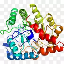 生物线动物剪贴画线-空若网 生物线动物剪贴画线-空若网