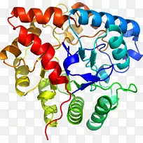 人体珠宝有机体剪贴画.珠宝-空若网 人体珠宝有机体剪贴画.珠宝-空若网