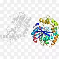 树线剪贴画-树-空若网 树线剪贴画-树-空若网
