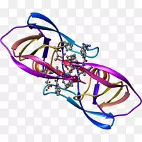 �ߵ��װ�����������-������