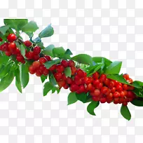 酸樱桃-樱桃红-空若网 酸樱桃-樱桃红-空若网