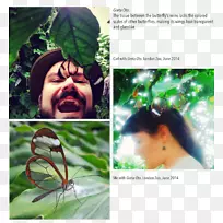 ���ﲣ�����������ﲣ��-������