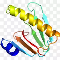 人体珠宝线有机体剪贴画线-空若网 人体珠宝线有机体剪贴画线-空若网