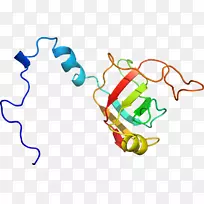 线点生物剪贴画线-空若网 线点生物剪贴画线-空若网