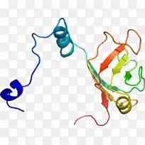 �ߵ������������-������