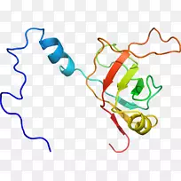 线点生物剪贴画线-空若网 线点生物剪贴画线-空若网