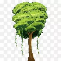 Ê÷ͼ-Ê÷-¿ÕÈôÍø Ê÷ͼ-Ê÷-¿ÕÈôÍø