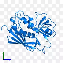 ����ƽ����Ƶ��������-������