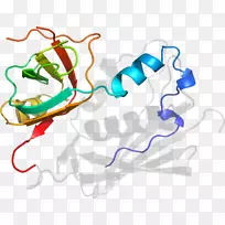 线点生物剪贴画线-空若网 线点生物剪贴画线-空若网