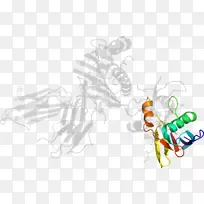 平面设计昆虫剪贴画昆虫-空若网 平面设计昆虫剪贴画昆虫-空若网