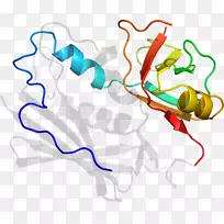 �ߵ������������-������