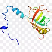 �ߵ������������-������