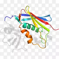 线点生物剪贴画线-空若网 线点生物剪贴画线-空若网