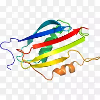 服装配饰线时尚系列-空若网 服装配饰线时尚系列-空若网