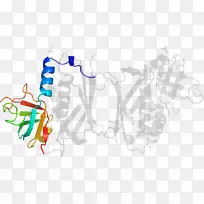 ���������-������