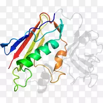 线点生物剪贴画线-空若网 线点生物剪贴画线-空若网