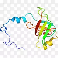 线点剪贴画-线-空若网 线点剪贴画-线-空若网