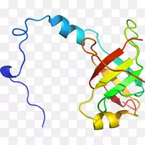线点生物剪贴画线-空若网 线点生物剪贴画线-空若网