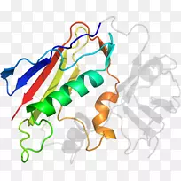 �ߵ������������-������