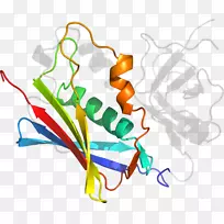 线点生物剪贴画线-空若网 线点生物剪贴画线-空若网
