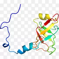 �ߵ������������-������