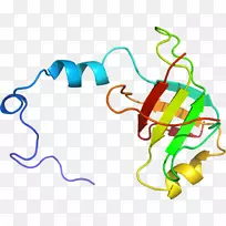 线点剪贴画-线-空若网 线点剪贴画-线-空若网