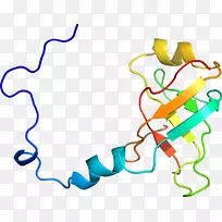 线点生物剪贴画线-空若网 线点生物剪贴画线-空若网