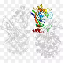 平面设计线艺术剪贴画设计-空若网 平面设计线艺术剪贴画设计-空若网