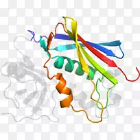 线点生物剪贴画线-空若网 线点生物剪贴画线-空若网