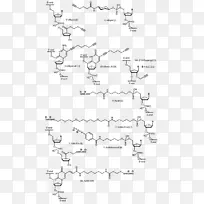 叠氮-烷炔环加成点击化学-空若网 叠氮-烷炔环加成点击化学-空若网