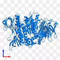 线点生物剪贴画线-空若网 线点生物剪贴画线-空若网