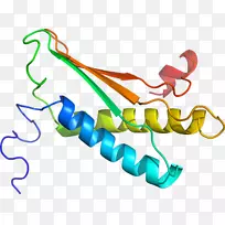 线点生物剪贴画线-空若网 线点生物剪贴画线-空若网