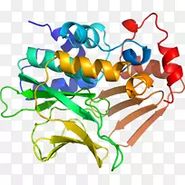 ���������л����߼�������-������