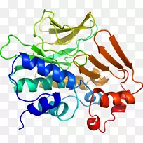 线点剪贴画-线-空若网 线点剪贴画-线-空若网